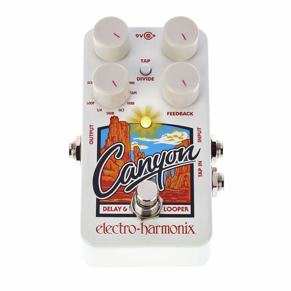 Electro Harmonix Canyon Delay & Looper Pedal Para Guitarra