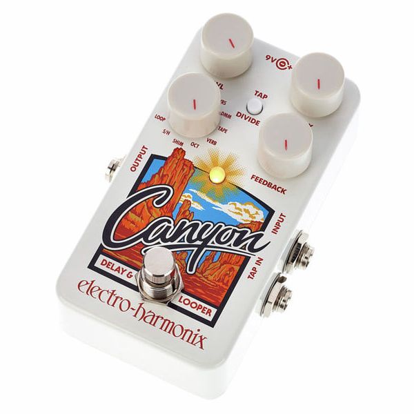 Electro Harmonix Canyon Delay & Looper Pedal Para Guitarra
