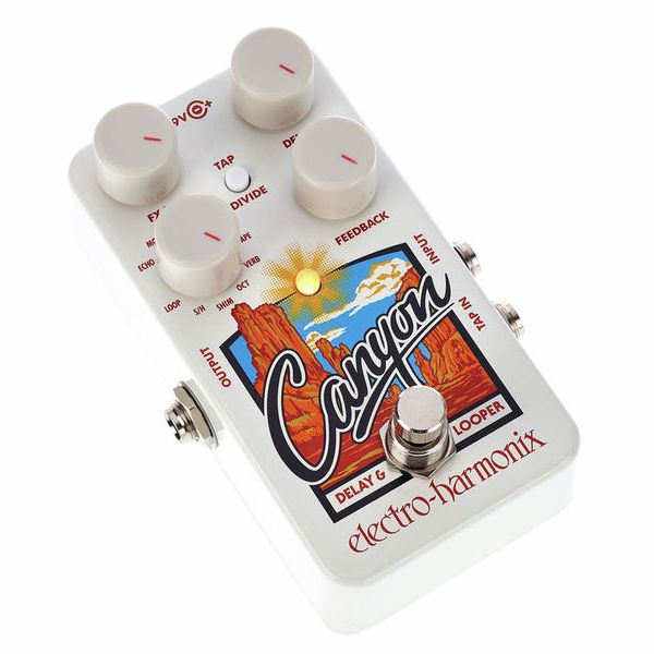 Electro Harmonix Canyon Delay & Looper Pedal Para Guitarra