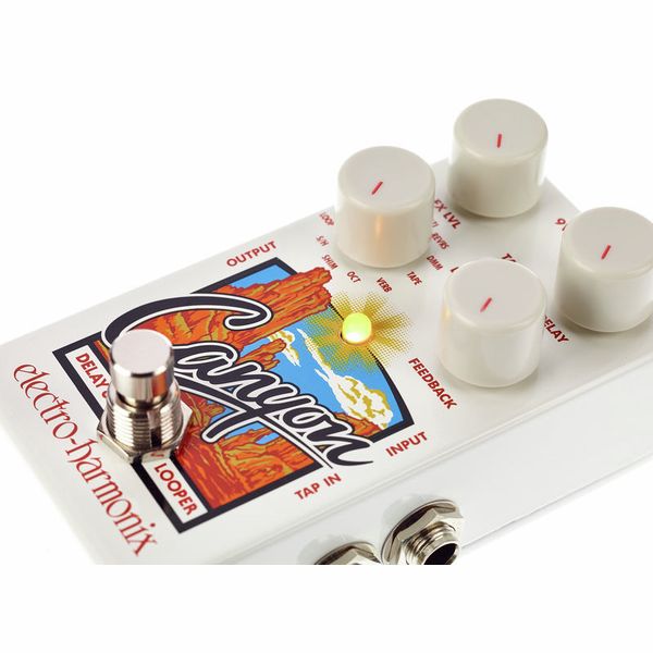 Electro Harmonix Canyon Delay & Looper Pedal Para Guitarra
