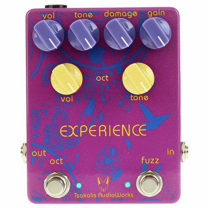 Experience Pedal Para Guitarra