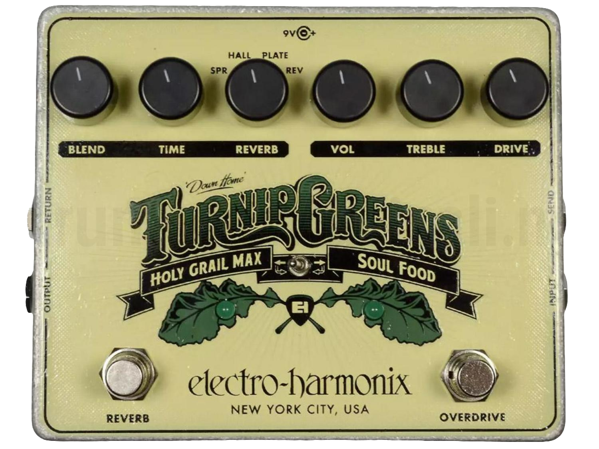 Electro Harmonix Turnip Greens