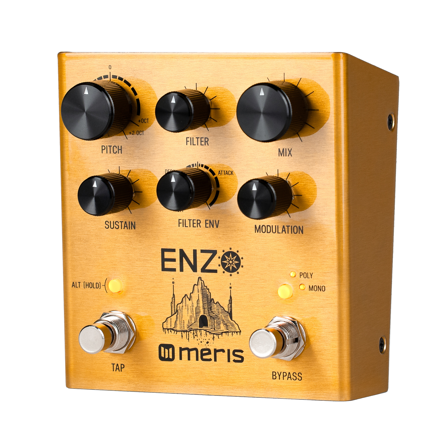 Meris Enzo Pedal Para Guitarra