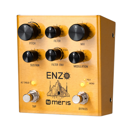 Meris Enzo Pedal Para Guitarra