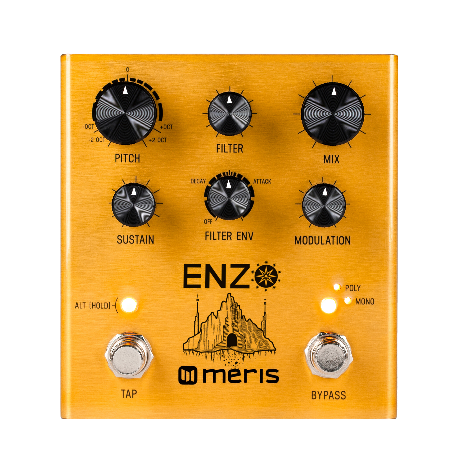 Meris Enzo Pedal Para Guitarra