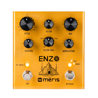 Meris Enzo Pedal Para Guitarra